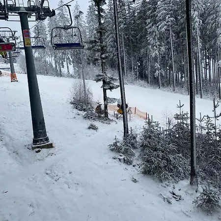 Galerie - * Lipno nad Vltavou