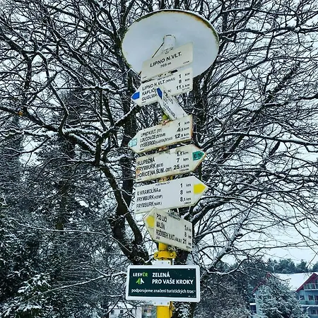 Galerie - *